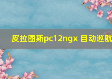 皮拉图斯pc12ngx 自动巡航